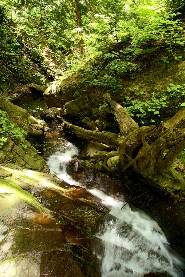 DSC02746¡ÊÂÀÍÛ¸÷¡Ë.JPG