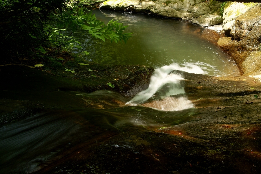 DSC02807¡ÊÂÀÍÛ¸÷¡Ë.JPG