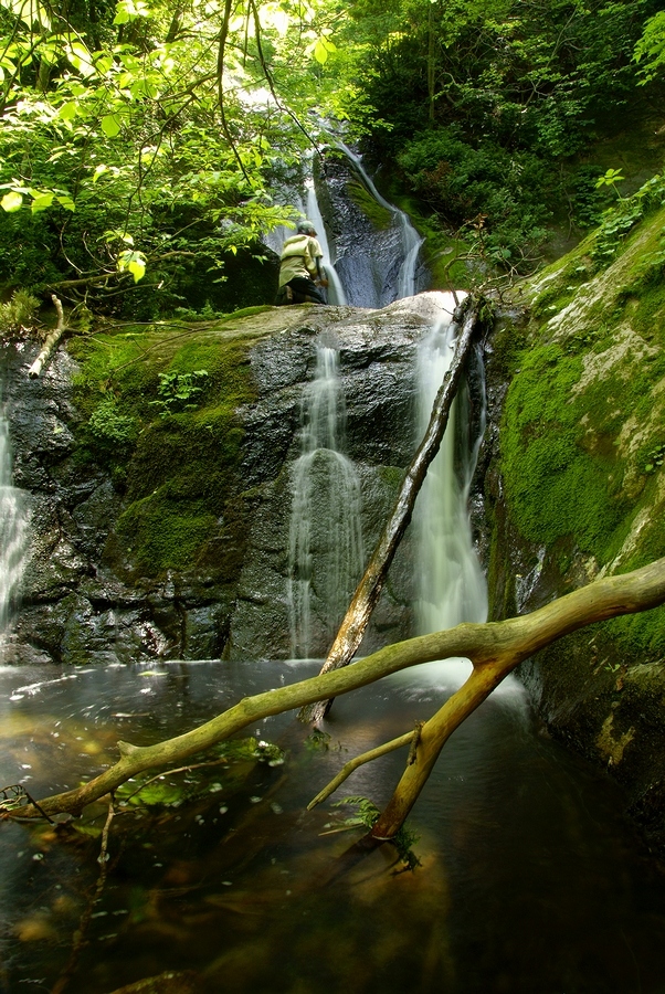 DSC02761¡ÊÂÀÍÛ¸÷¡Ë.JPG