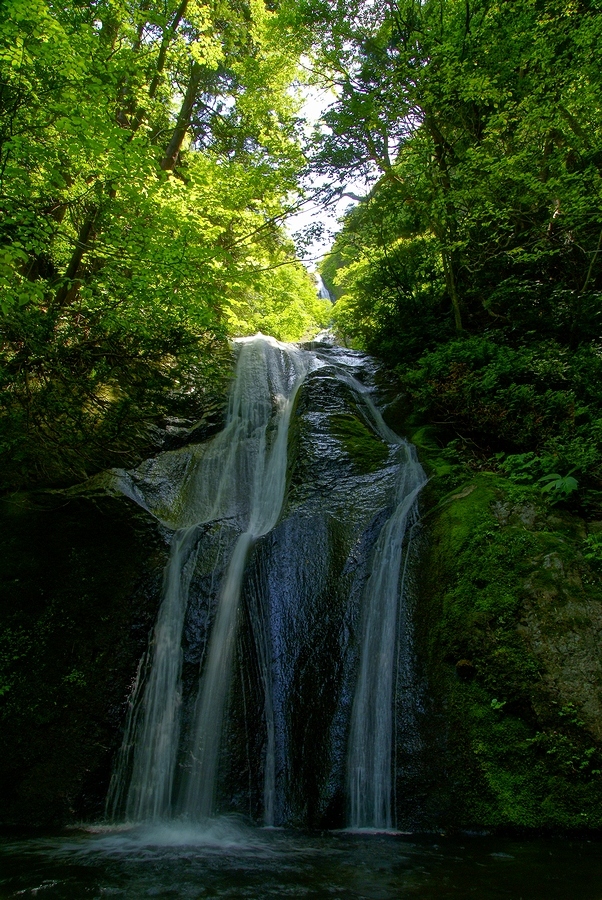 DSC02767¡ÊÂÀÍÛ¸÷¡Ë.JPG