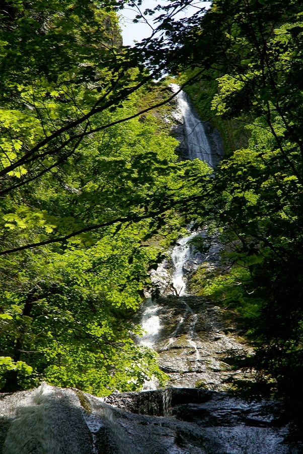 DSC02780¡ÊÂÀÍÛ¸÷¡Ë.JPG