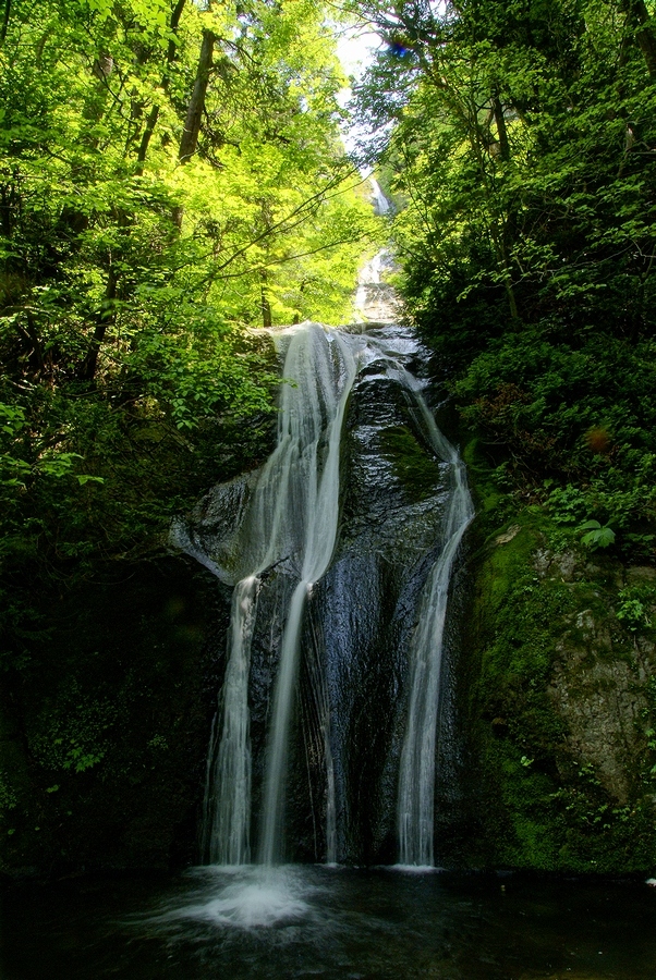 DSC02793¡ÊÂÀÍÛ¸÷¡Ë.JPG