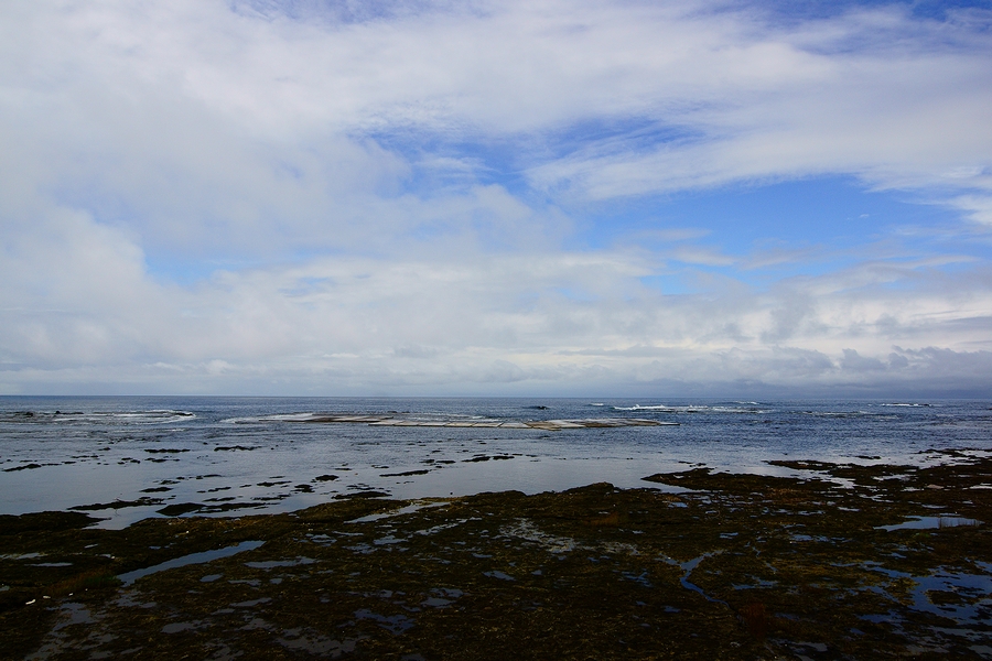 DSC08066.JPG