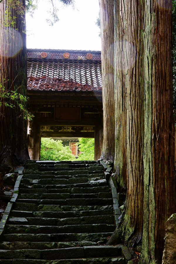 DSC08172¡ÊÆü±¢¡Ë.JPG