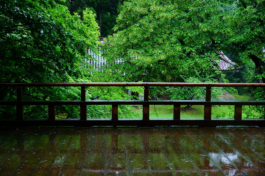 DSC08237¡ÊÆÞÅ·¡Ë.JPG