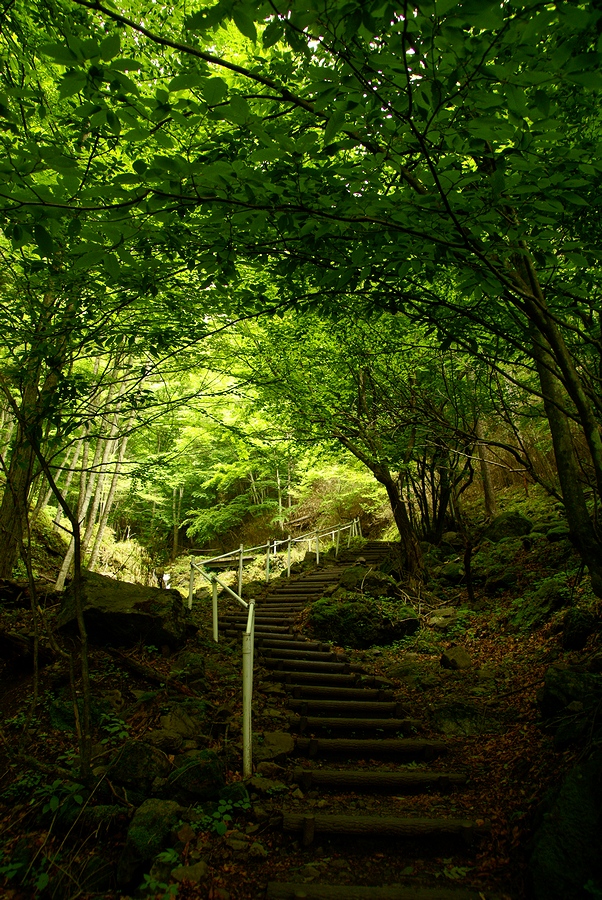 DSC03117¡ÊÆÞÅ·¡Ë.JPG