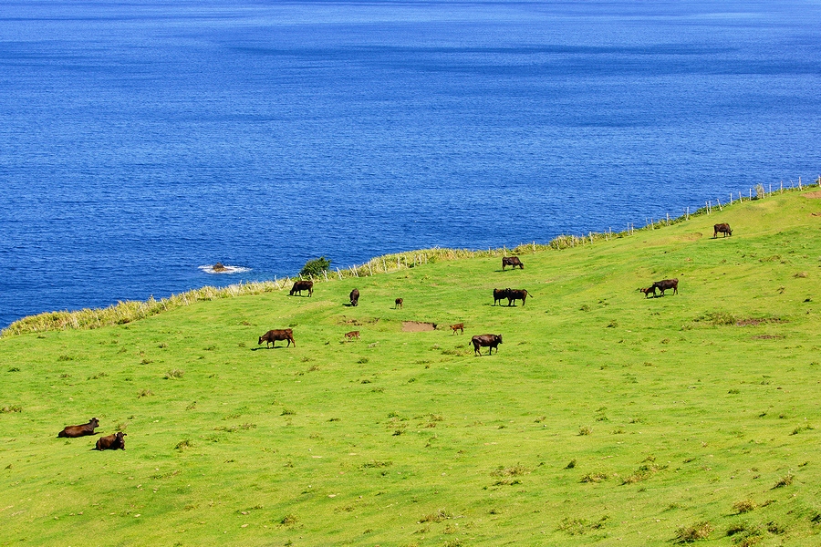 DSC07394¡ÊÆÞÅ·¡Ë.JPG