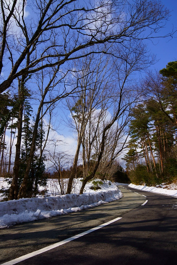 DSC06904¡ÊÂÀÍÛ¸÷¡Ë.JPG
