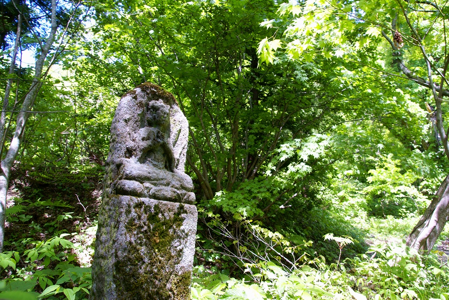 DSC09562¡ÊAWB¡Ë.JPG