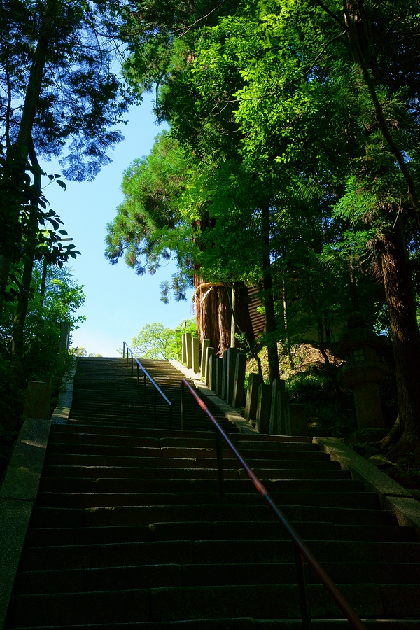 DSC02012¡ÊÂÀÍÛ¸÷¡Ë.JPG