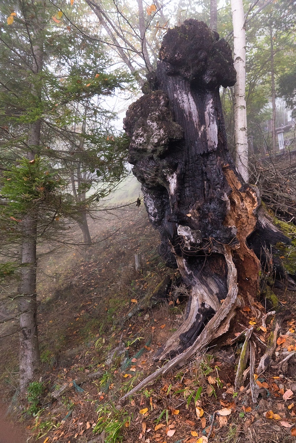 023_DSC08142.jpg