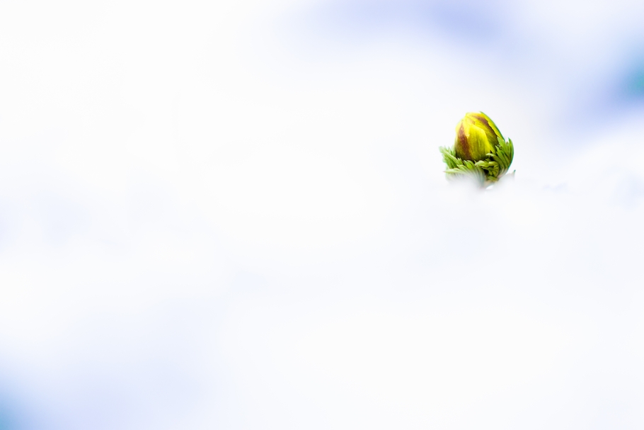201402221450.jpg