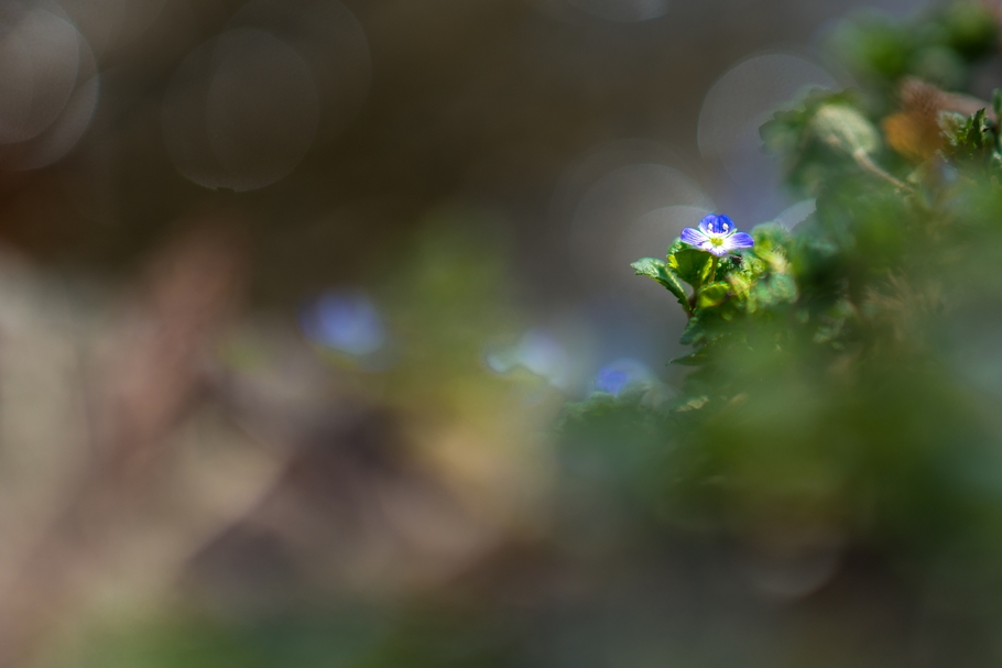 201402281249.jpg