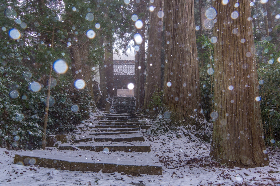 201403061512.jpg