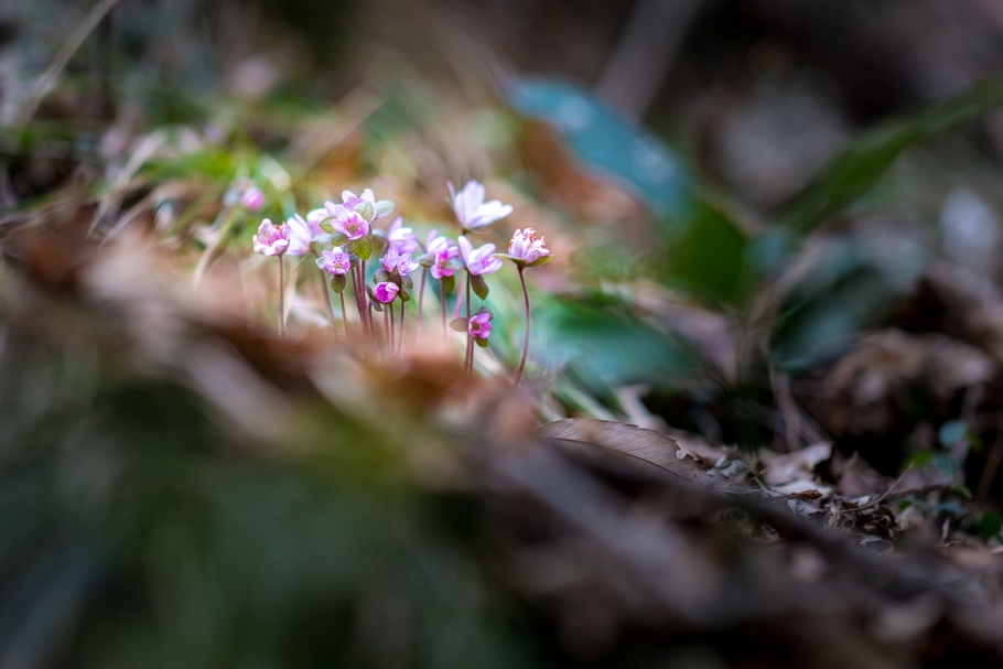 201403161554.jpg