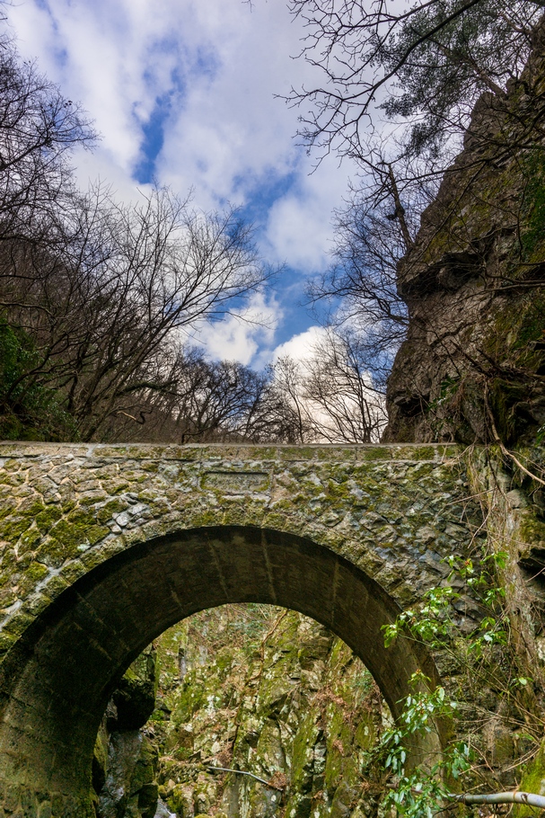201403161627.jpg