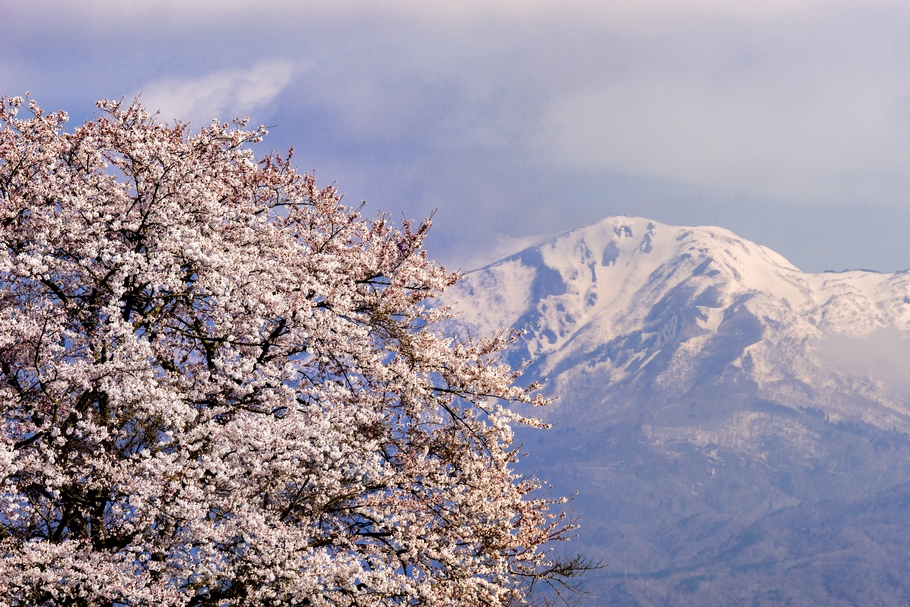 201404150818.jpg