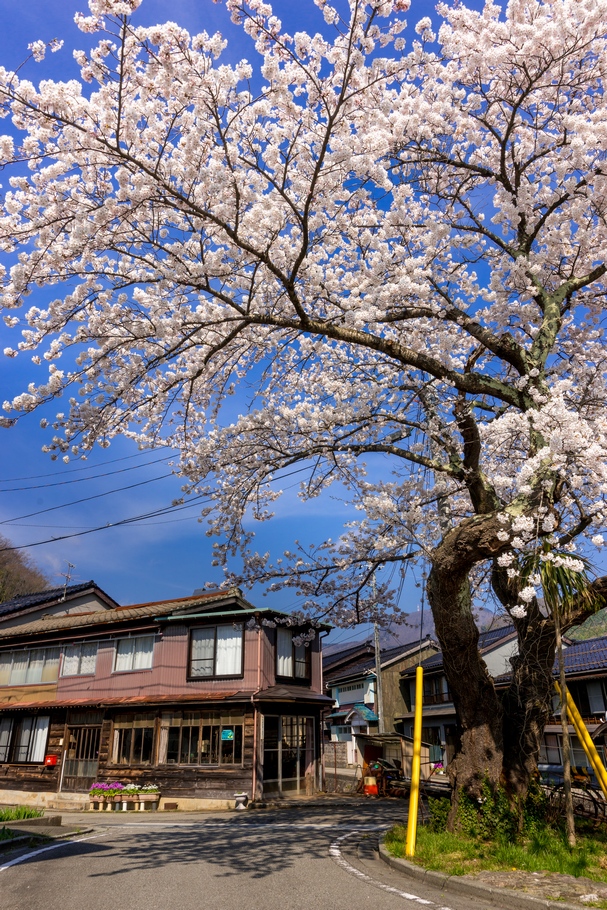 201404150852.jpg