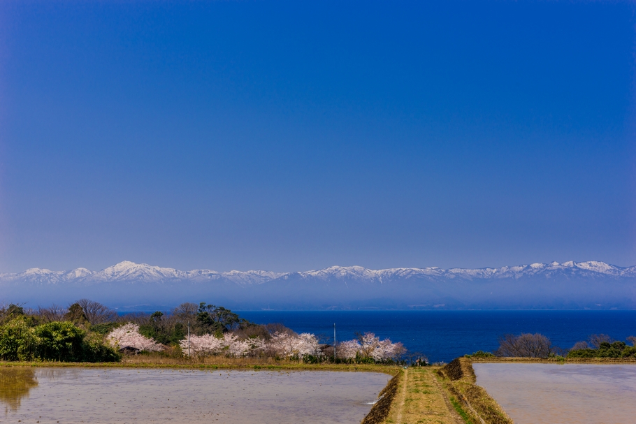 201404151112.jpg