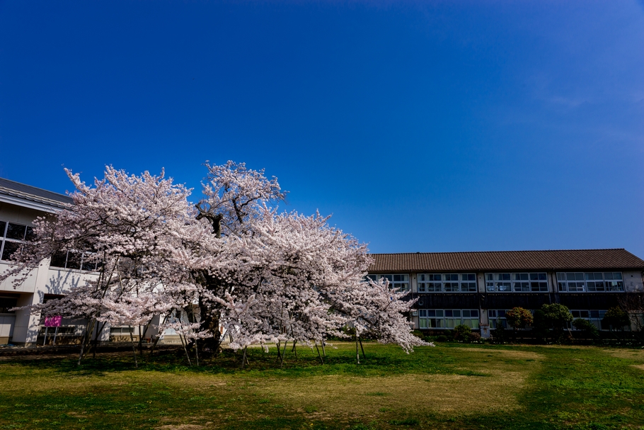 201404170939.jpg