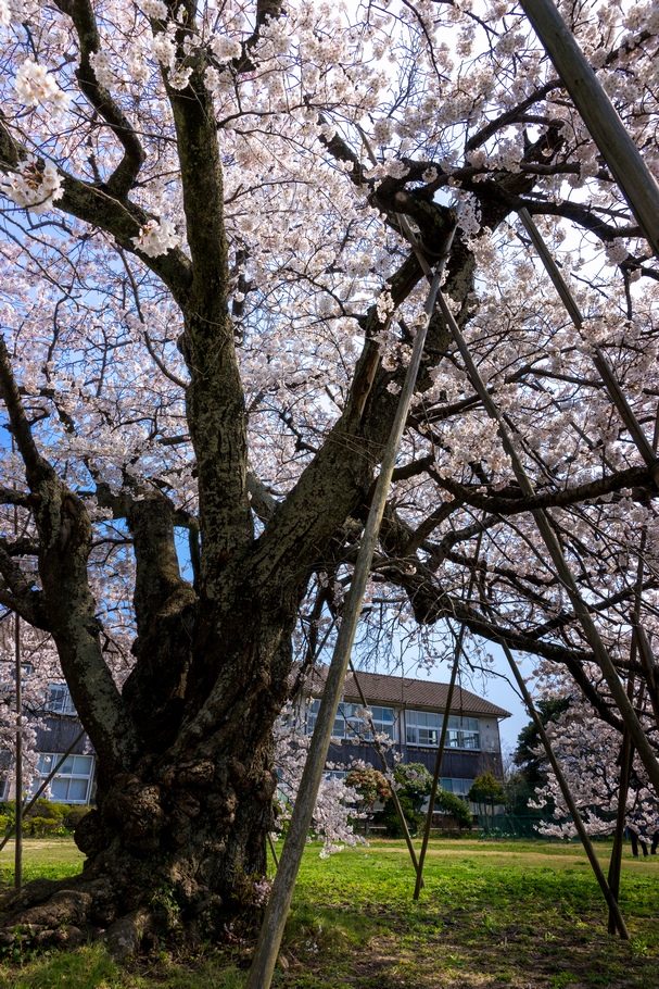 201404170942.jpg