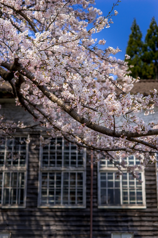 201404171003.jpg