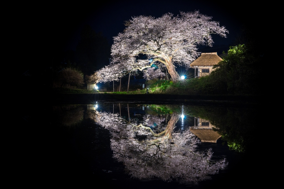 201404181934.jpg