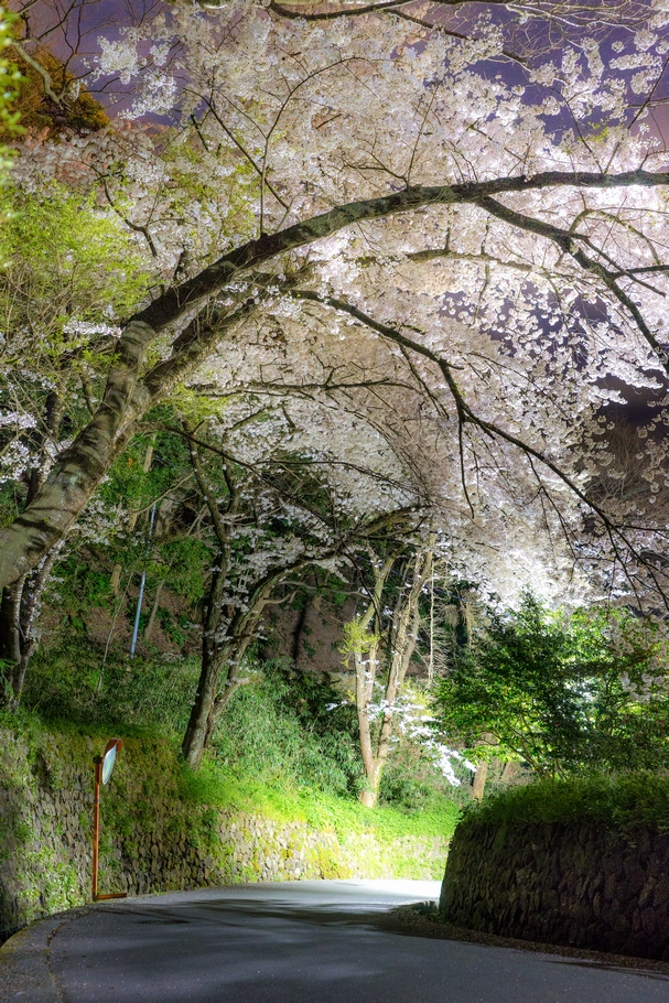 201404191947.jpg