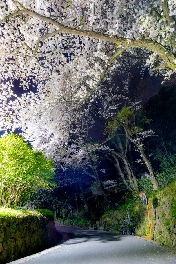 201404191953.jpg