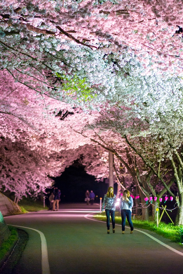 201404221928.jpg
