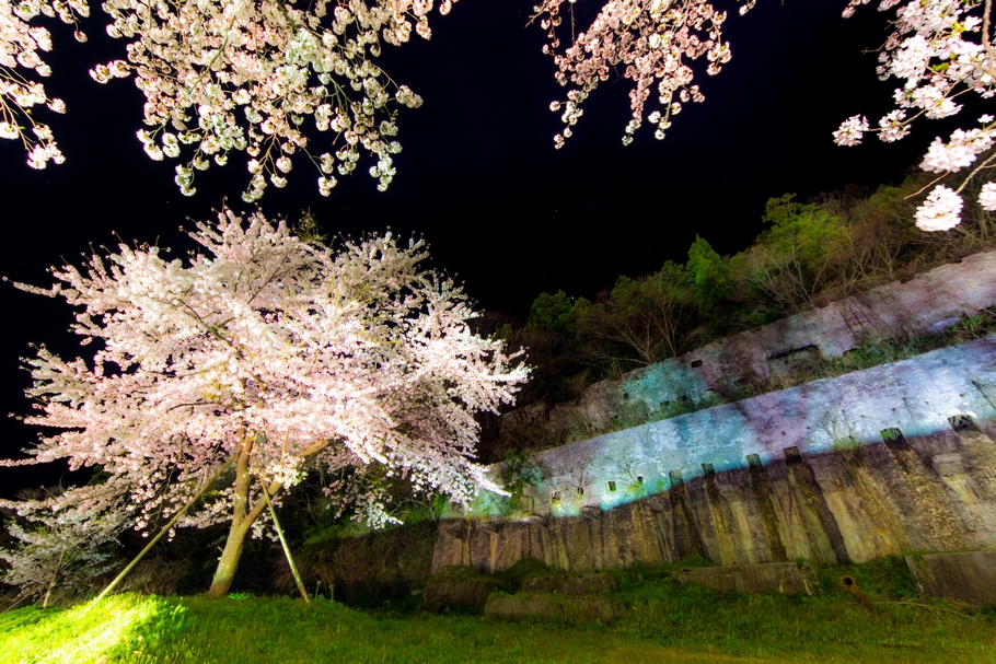 201404232037.jpg