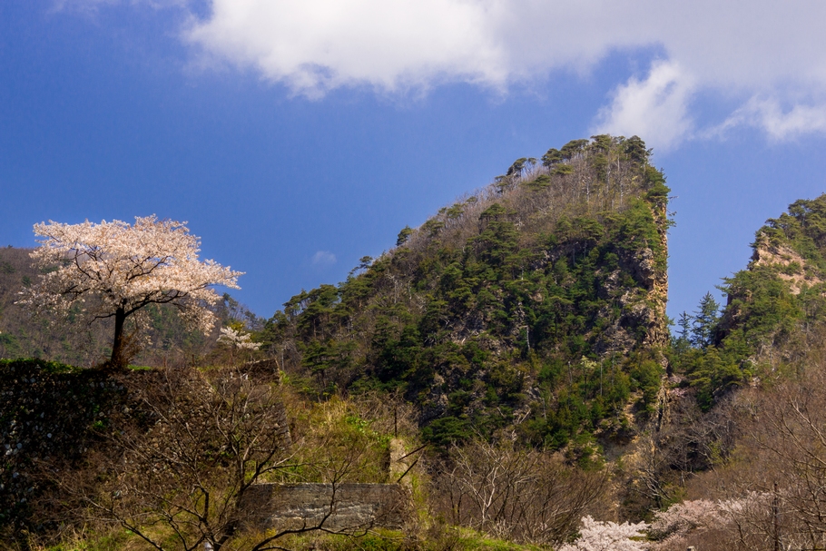 201404241107.jpg