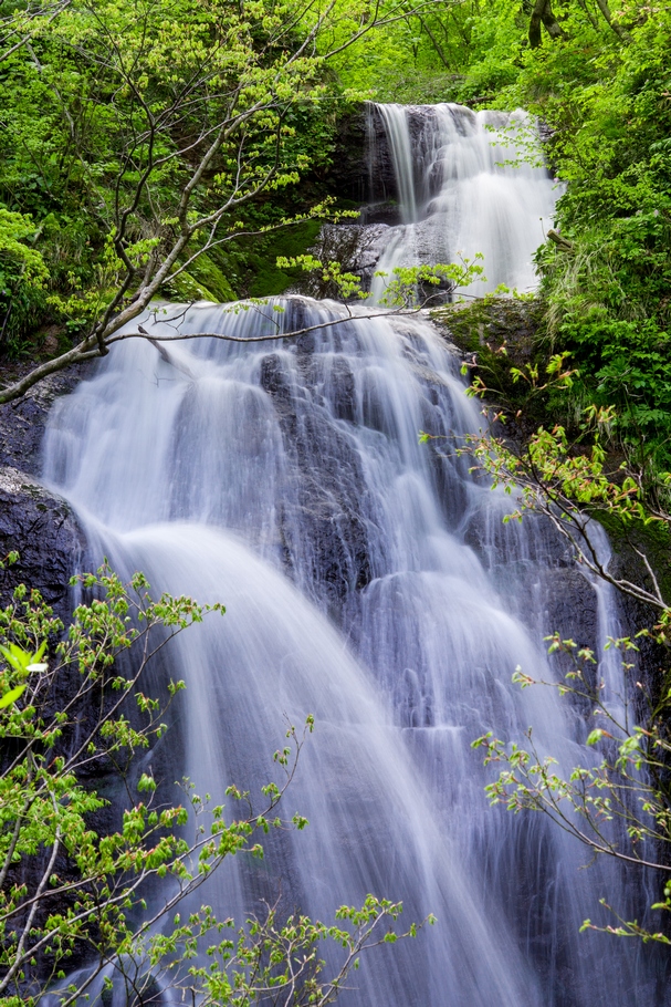 201405101533.jpg