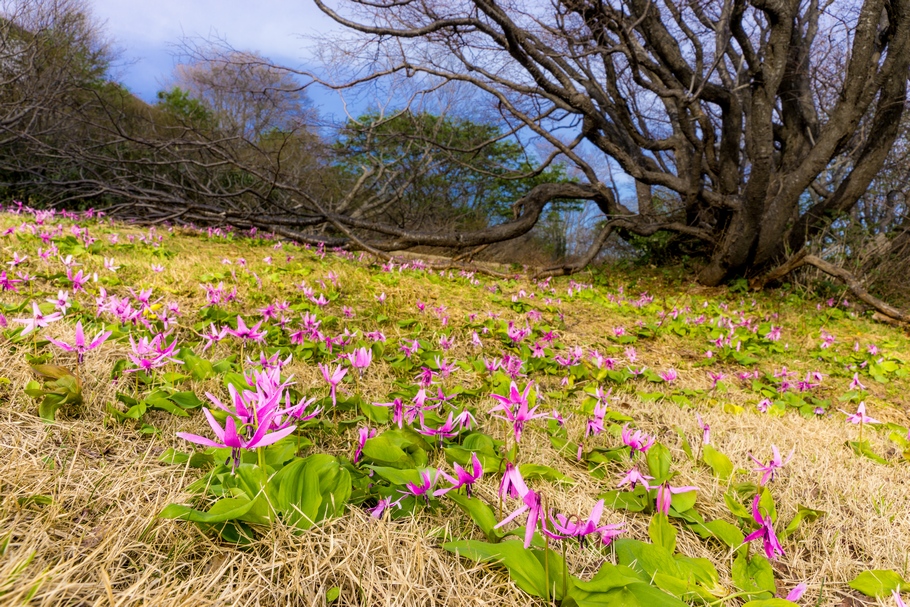 201405101649.jpg