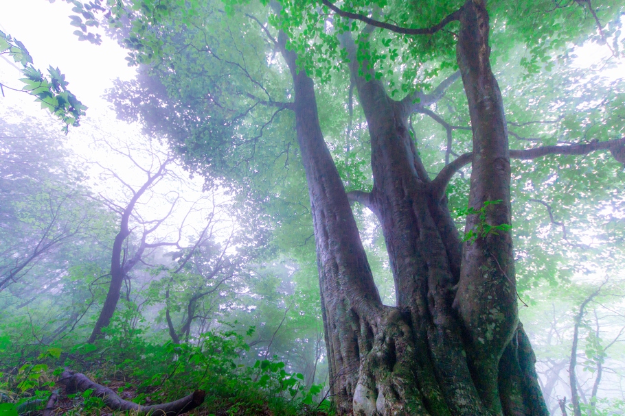 201405171531.jpg