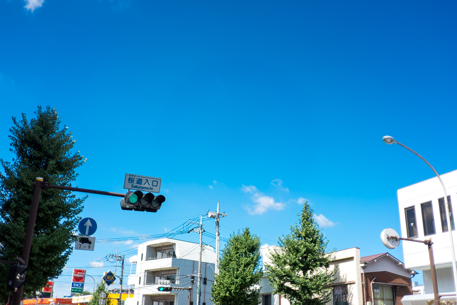 DSC03058.jpg