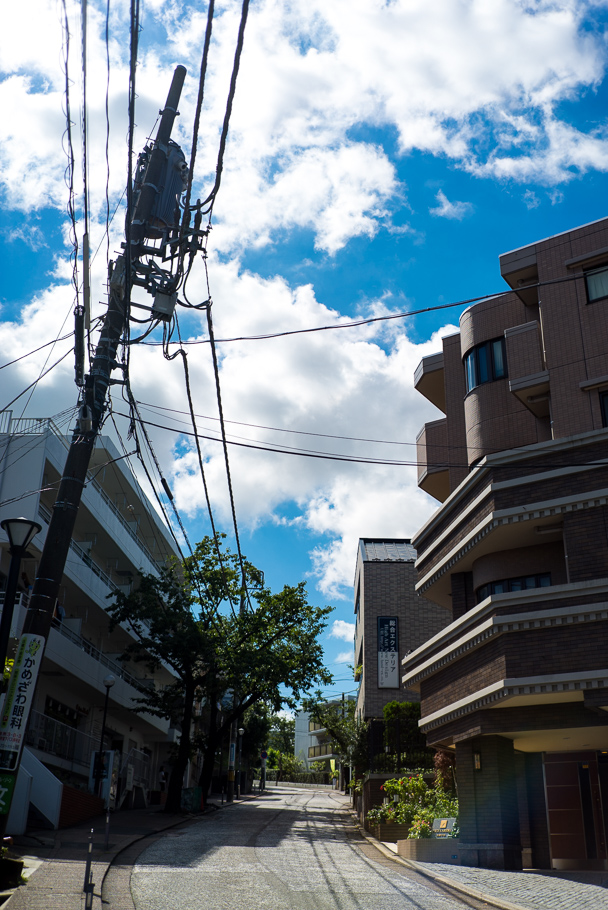DSC03062.jpg