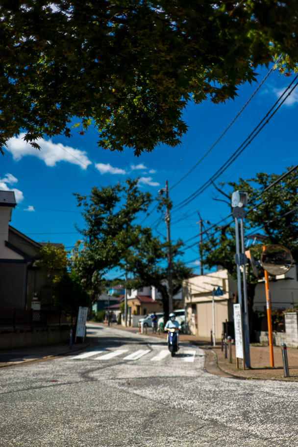 DSC03074.jpg