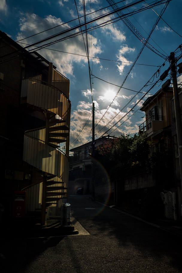 DSC03077.jpg