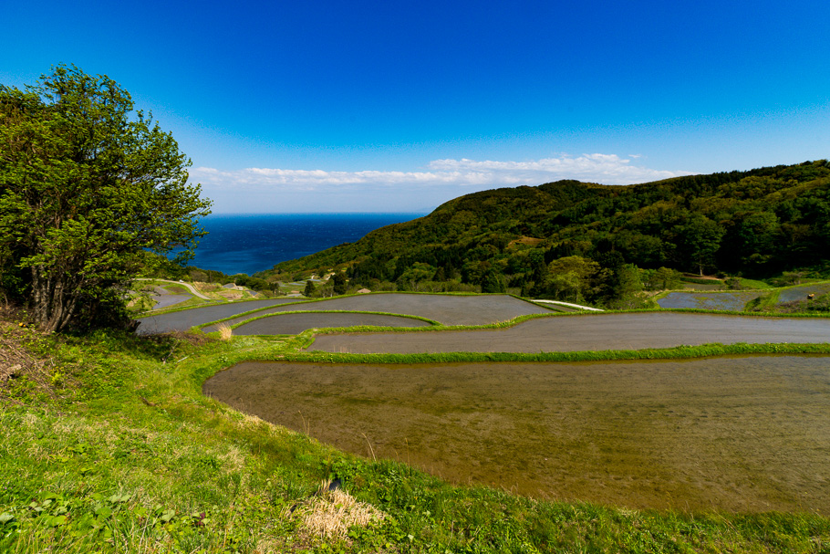 DSC08596.JPG