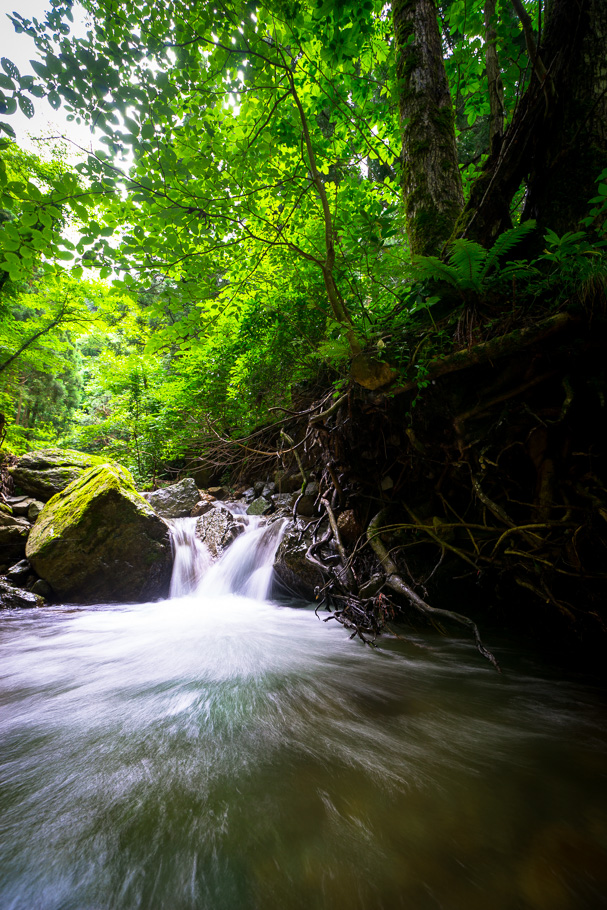 佐渡名瀑めぐり ～ 大倉川 II ～ | 佐渡の四季+α