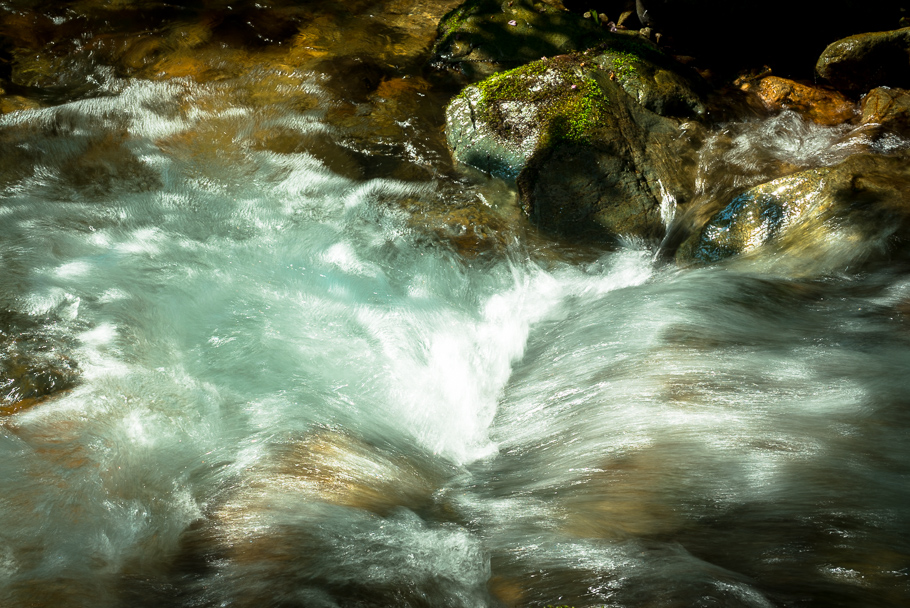 DSC01154.JPG