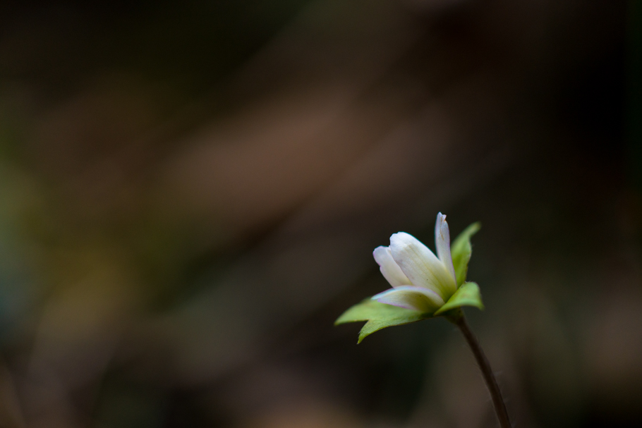 DSC09750.JPG