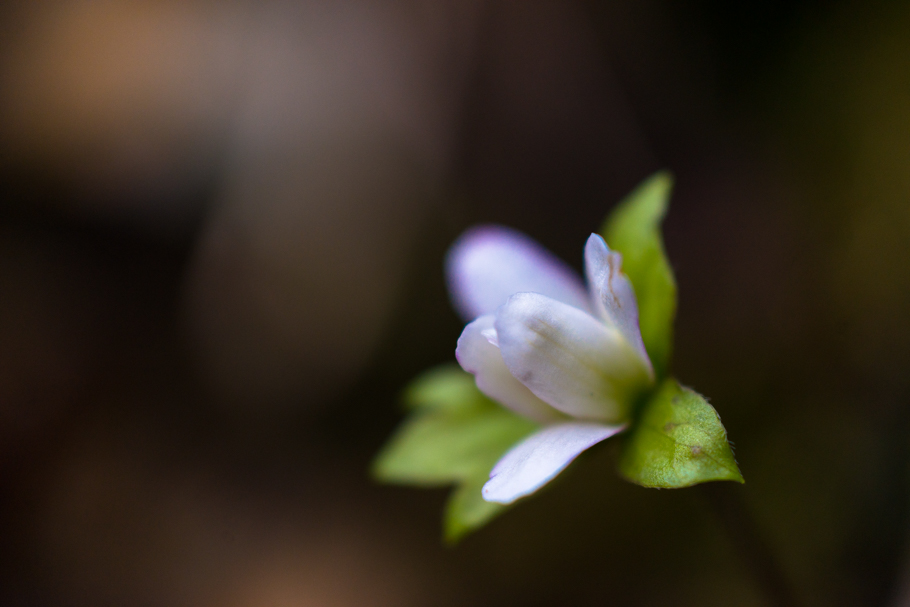 DSC09765.JPG