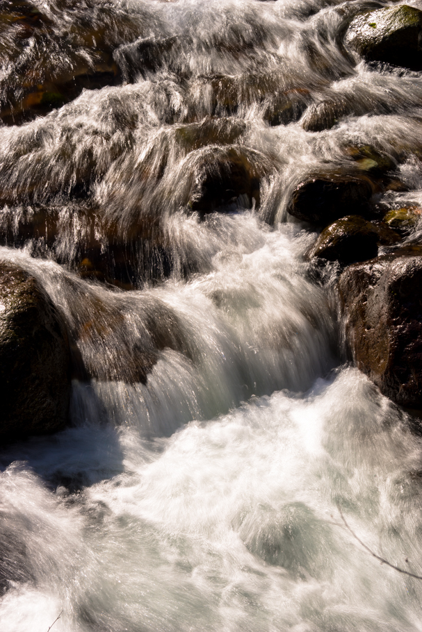 DSC09781.JPG