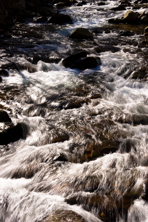 DSC09782.JPG