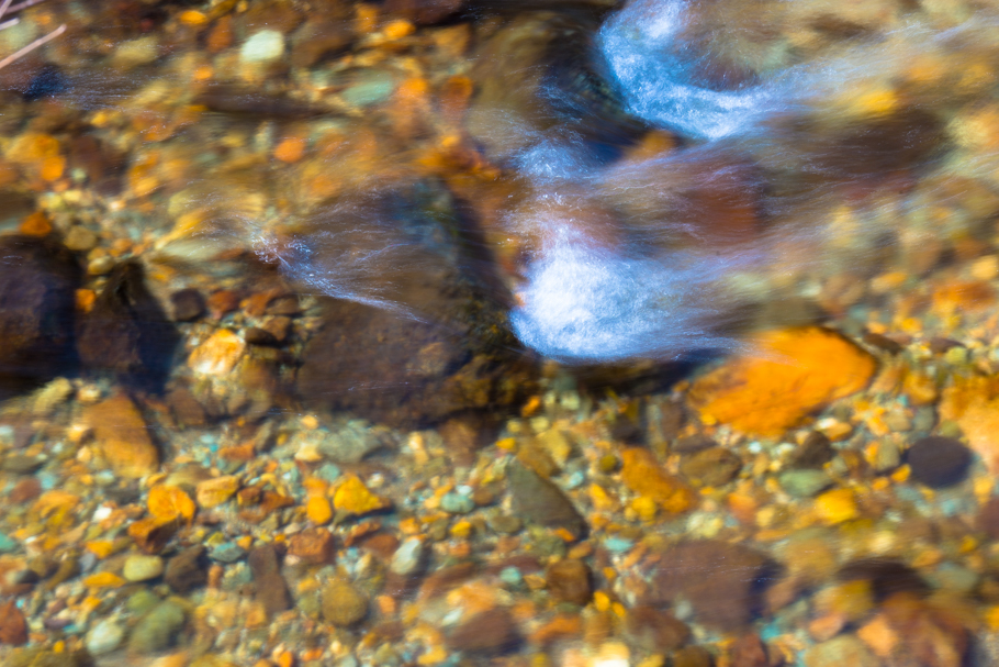 DSC09811.JPG