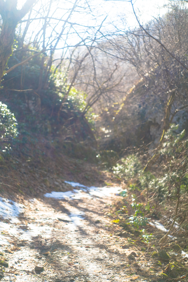 DSC02375.JPG
