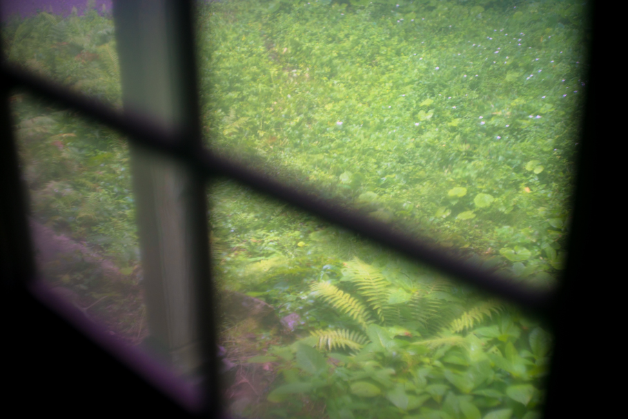 DSC00919.JPG