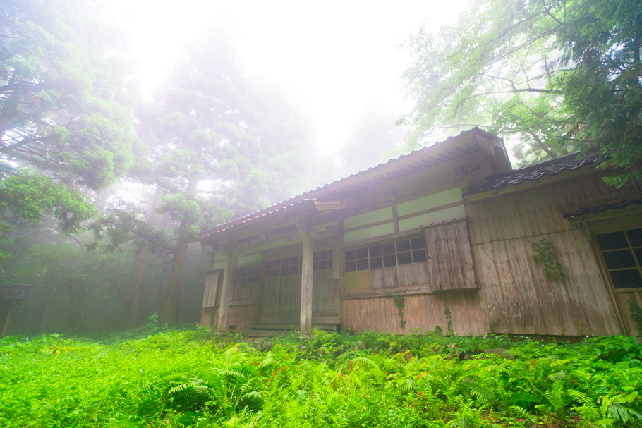 DSC08780.JPG